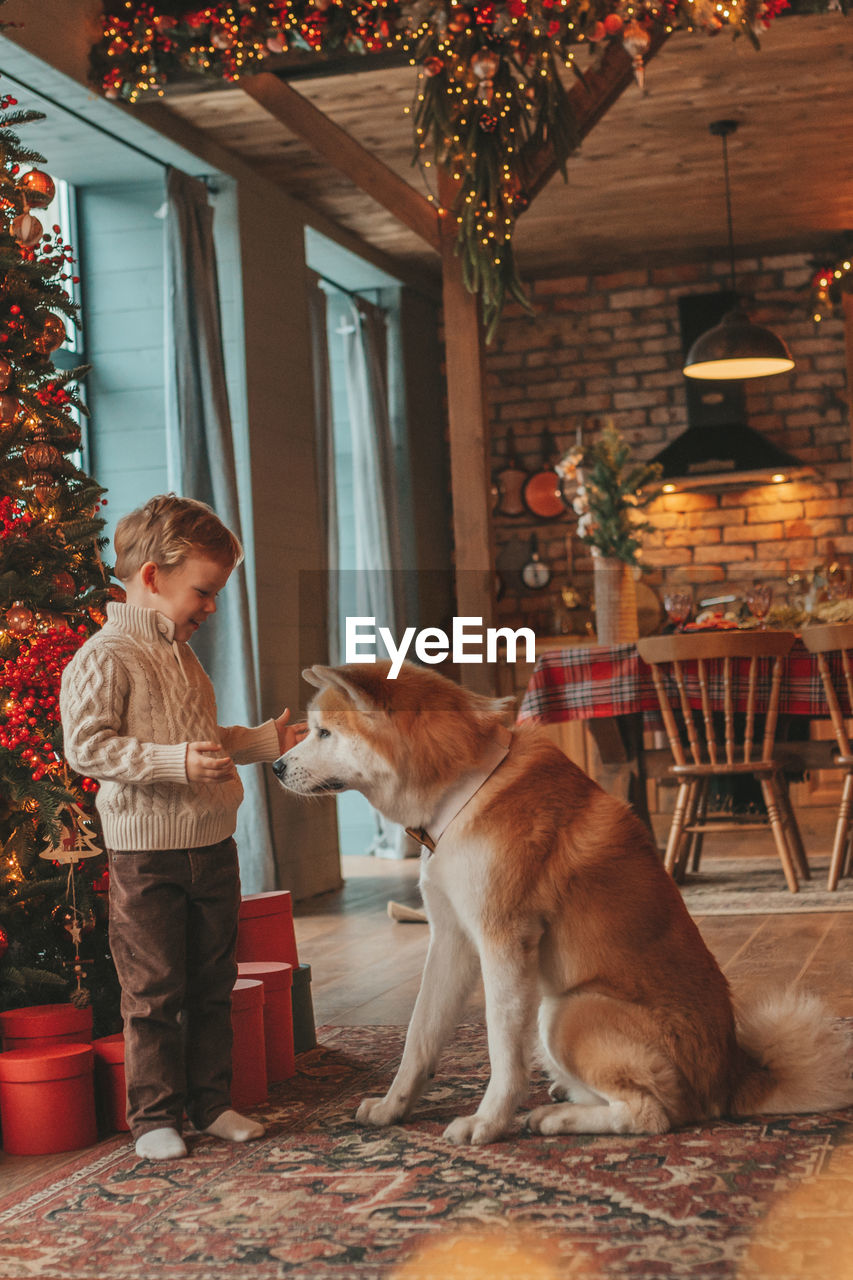 Candid authentic happy little boy in knitted beige sweater hugs dog with bow tie at home on xmas