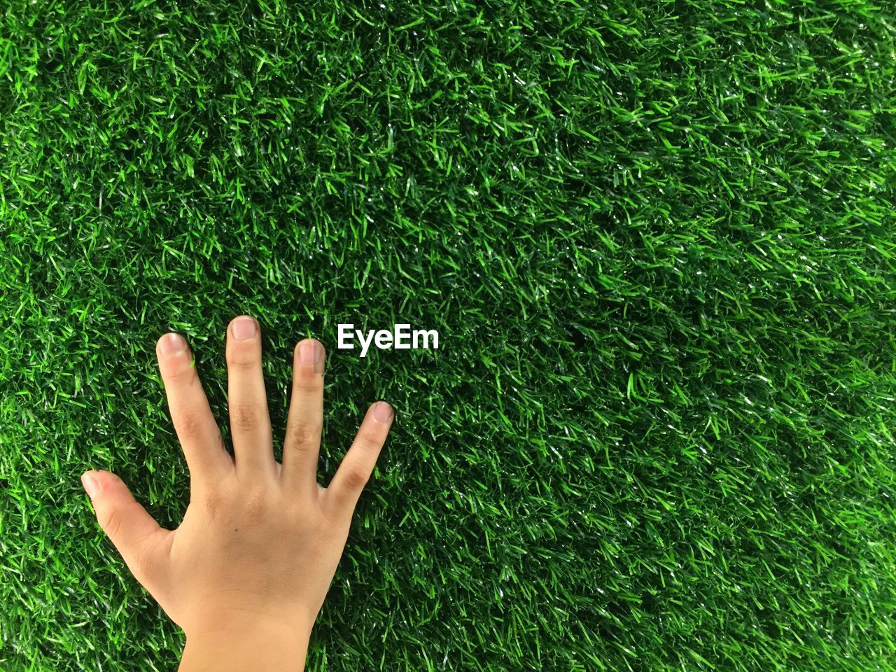 Close-up of hand on grass