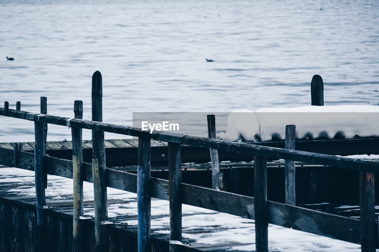 VIEW OF SEAGULL ON WOODEN POST