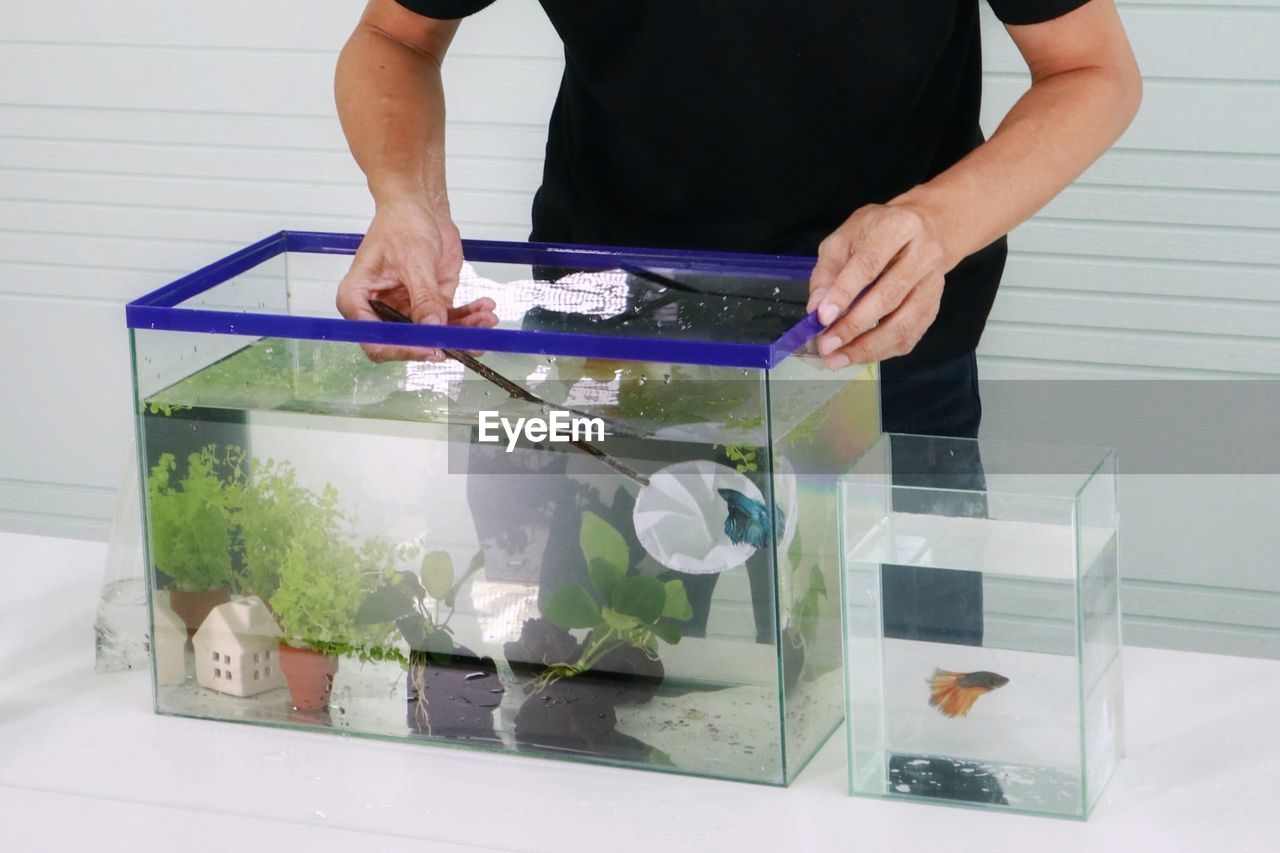 Midsection of man catching fish in tank on table