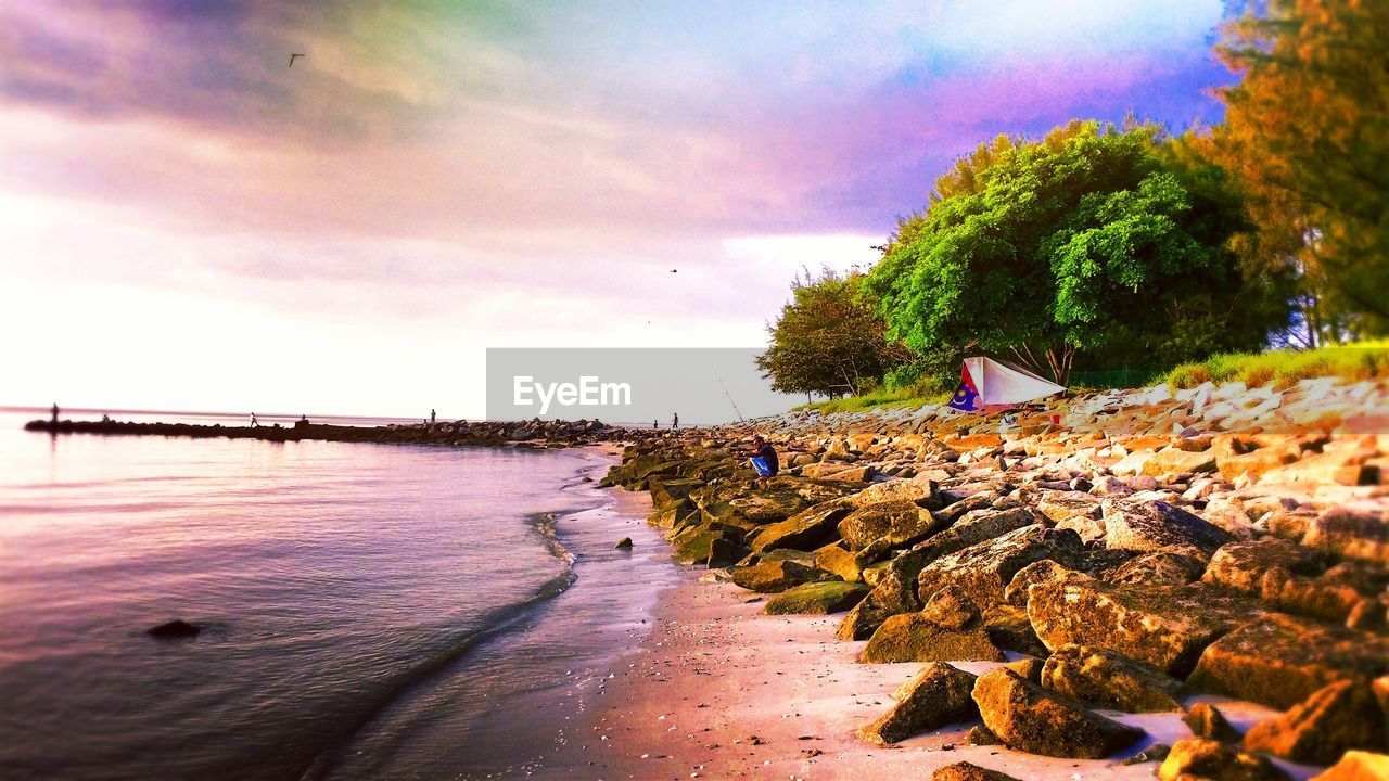 SCENIC VIEW OF TREE AGAINST SKY AT SUNSET