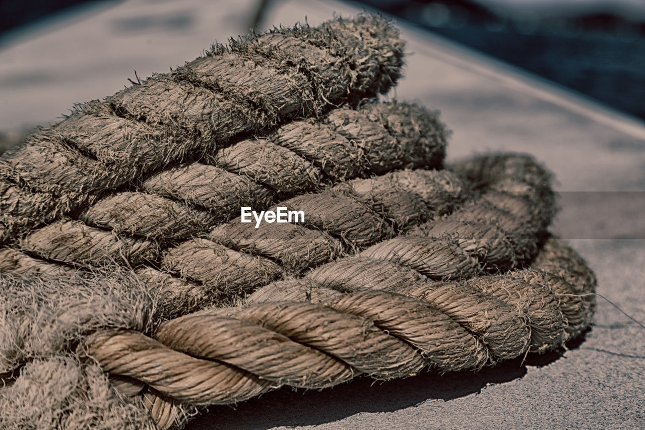 CLOSE-UP OF A PINE CONE ON THE BACKGROUND