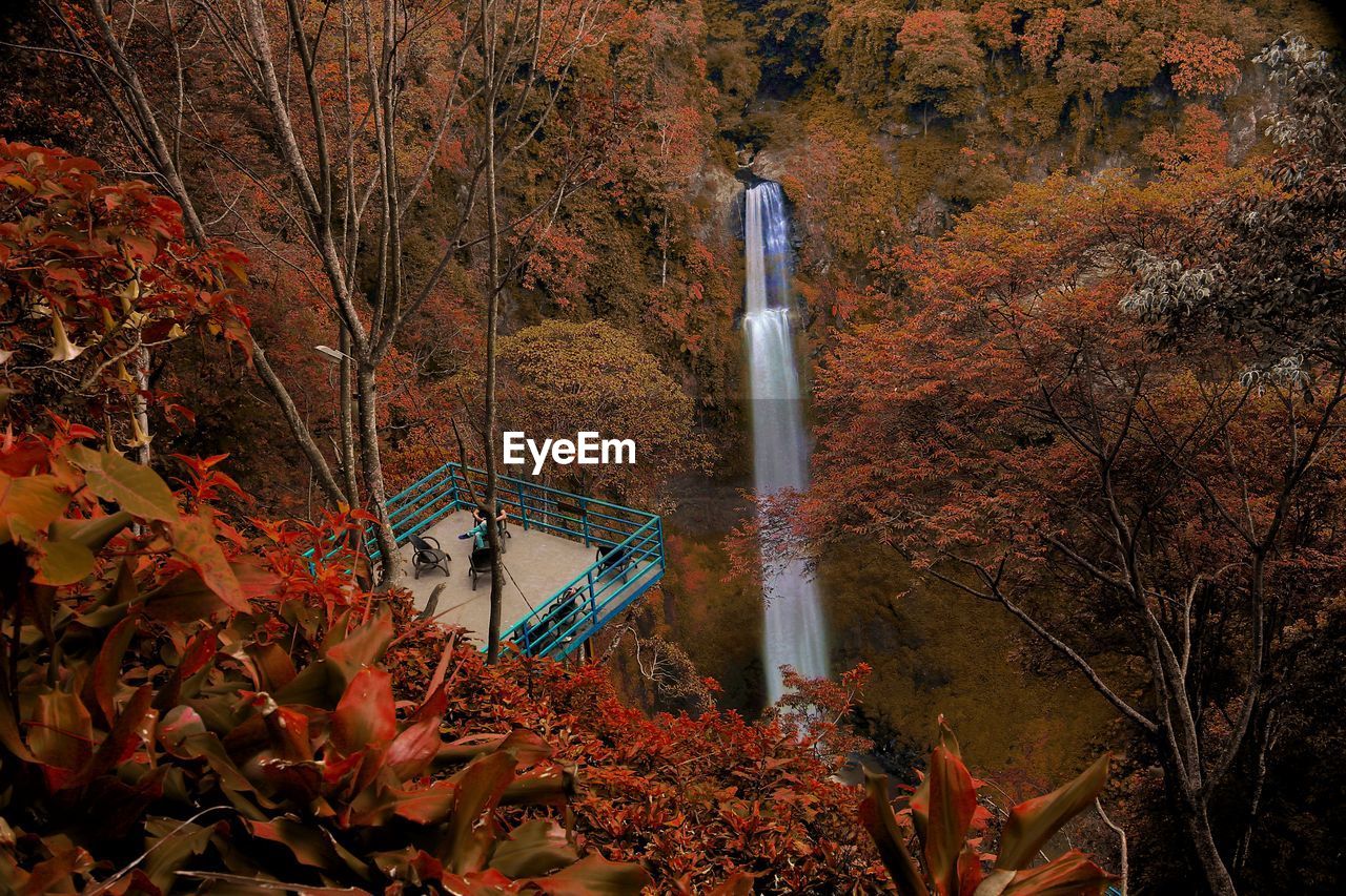 High angle view of waterfall in forest during autumn