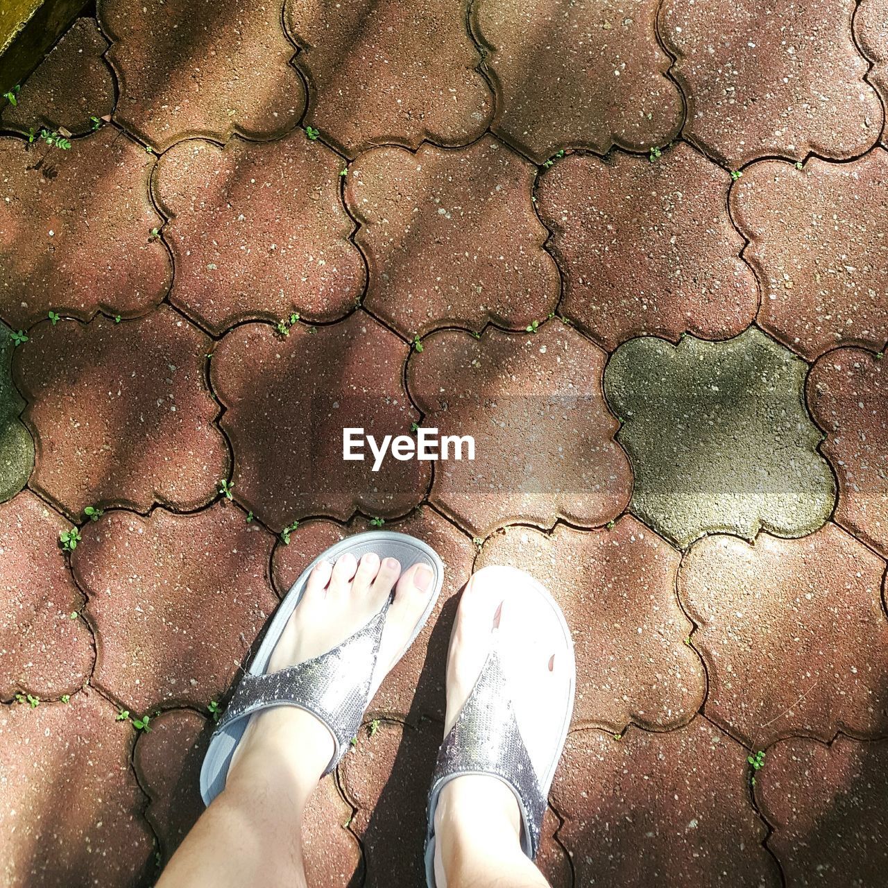 Feet of woman standing on pavement