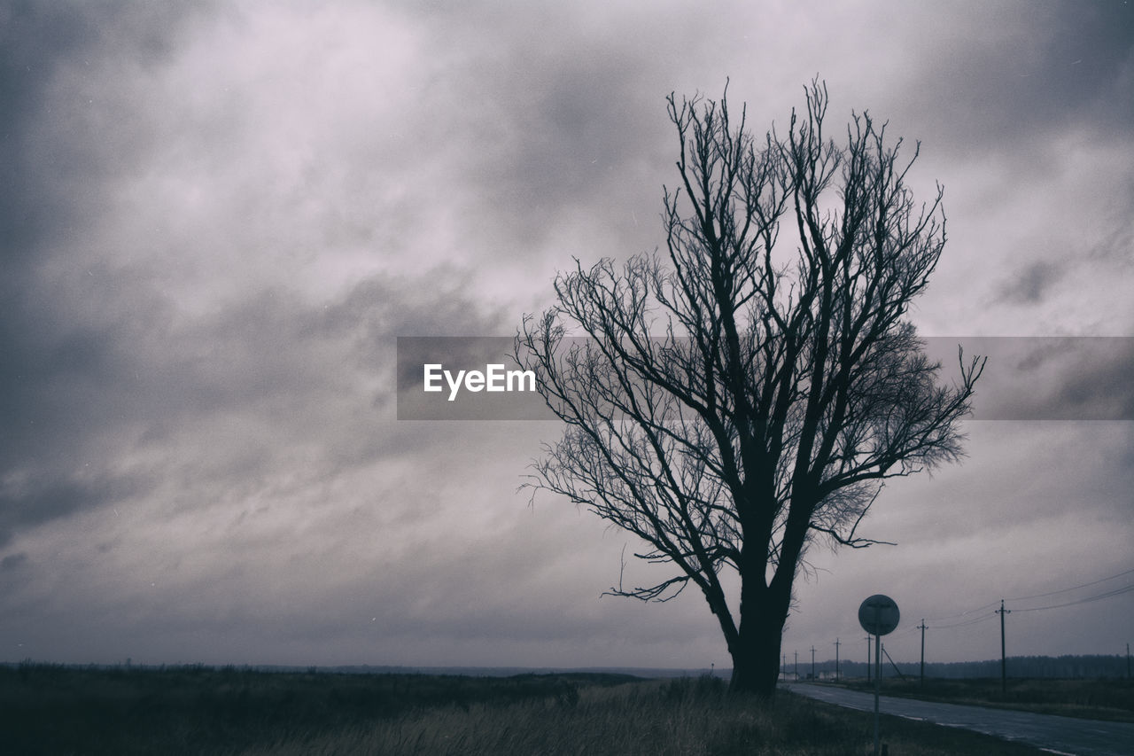 Trees growing on field against cloudy sky