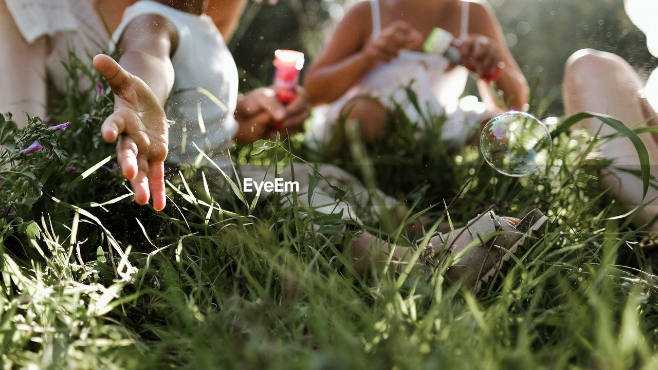 Midsection of girls sitting on grass