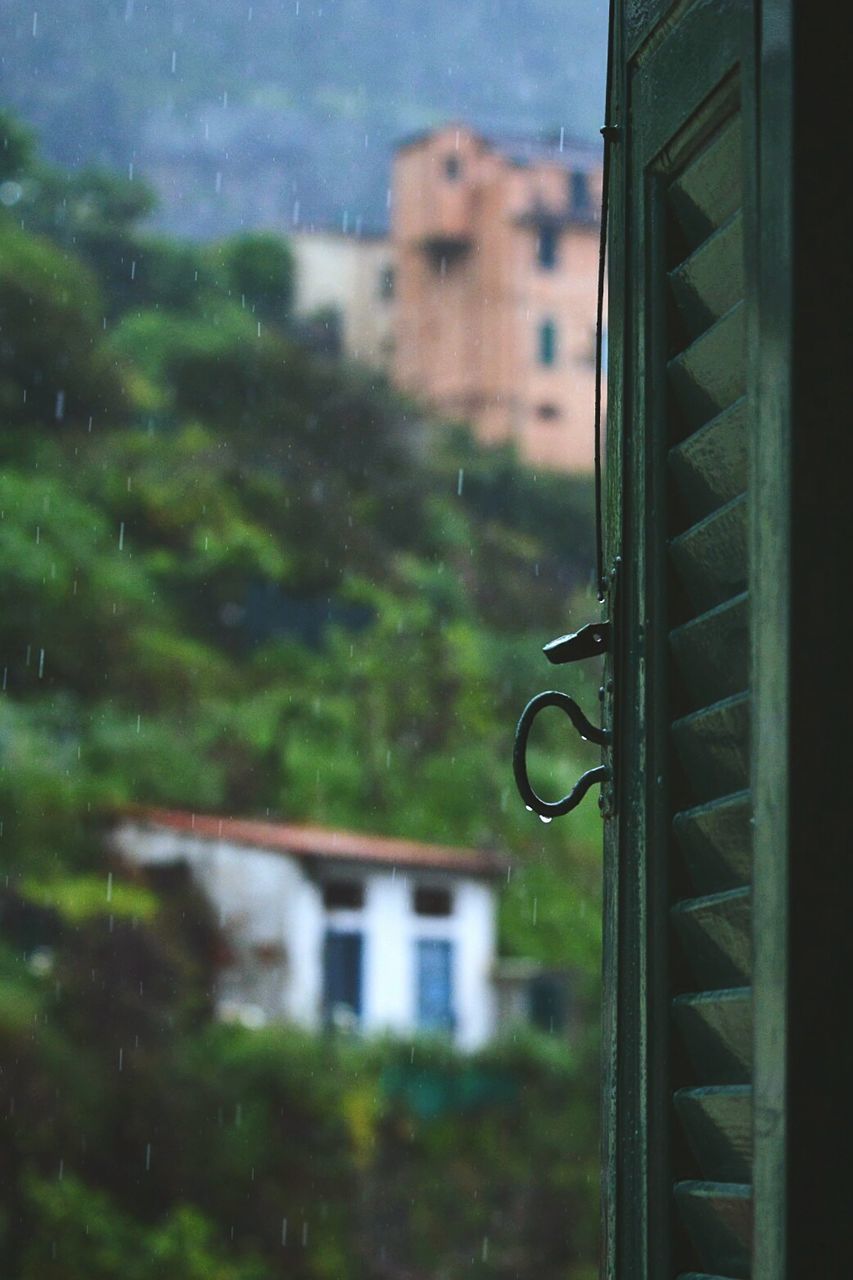 Rain seen through window