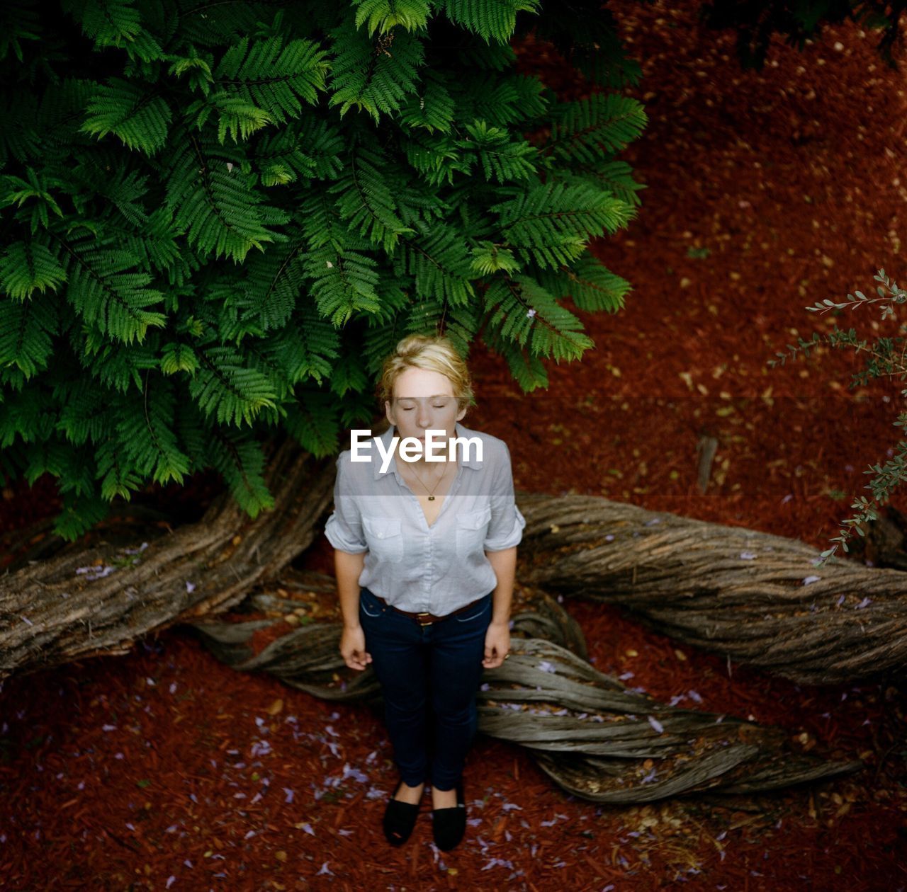 High angle view of woman with closed eyes in forest