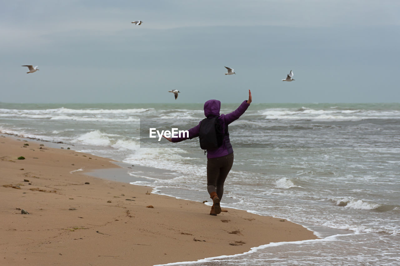 Young woman beach seagulls. cinematic neutral winter plot. a happy woman walks along a sandy beach
