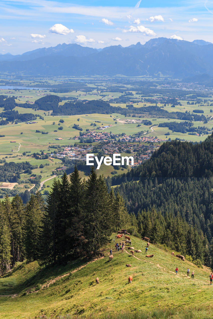 SCENIC VIEW OF FIELD AND MOUNTAINS AGAINST SKY