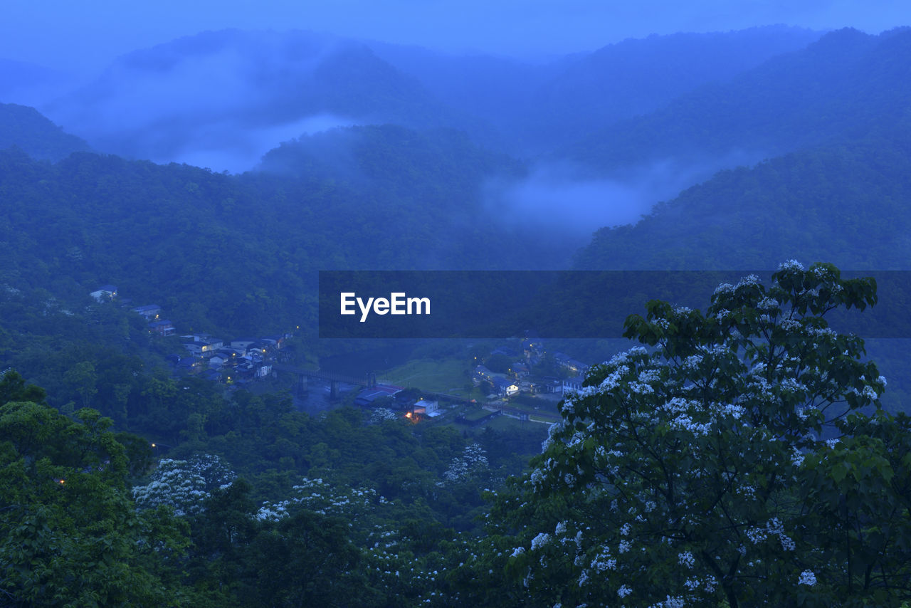 HIGH ANGLE VIEW OF TREES AND MOUNTAINS