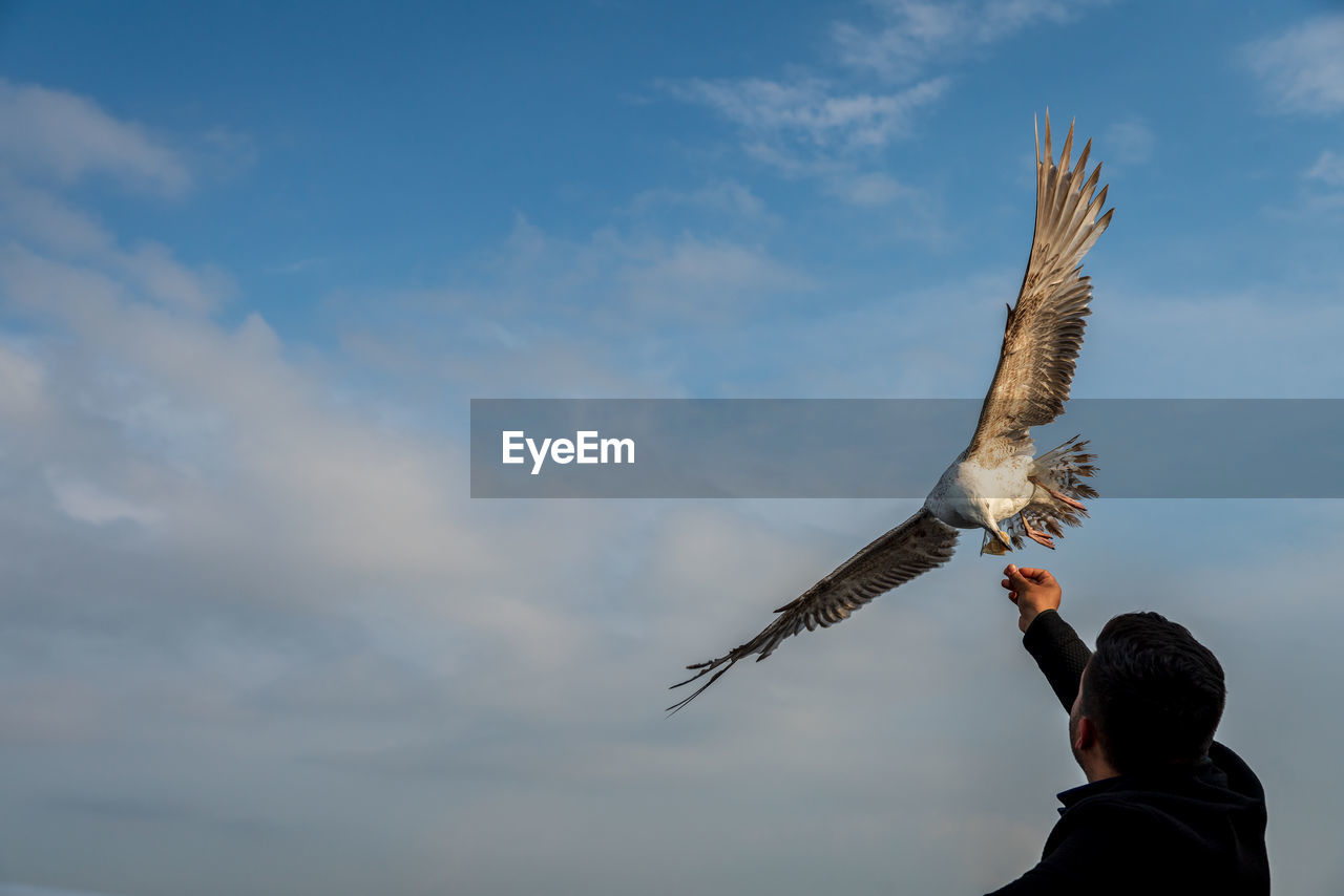 Rear view of man by bird flying against sky