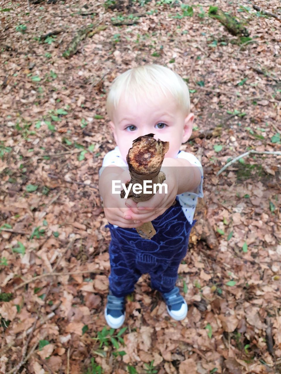 High angle view portrait of cute boy holding stick while standing on land