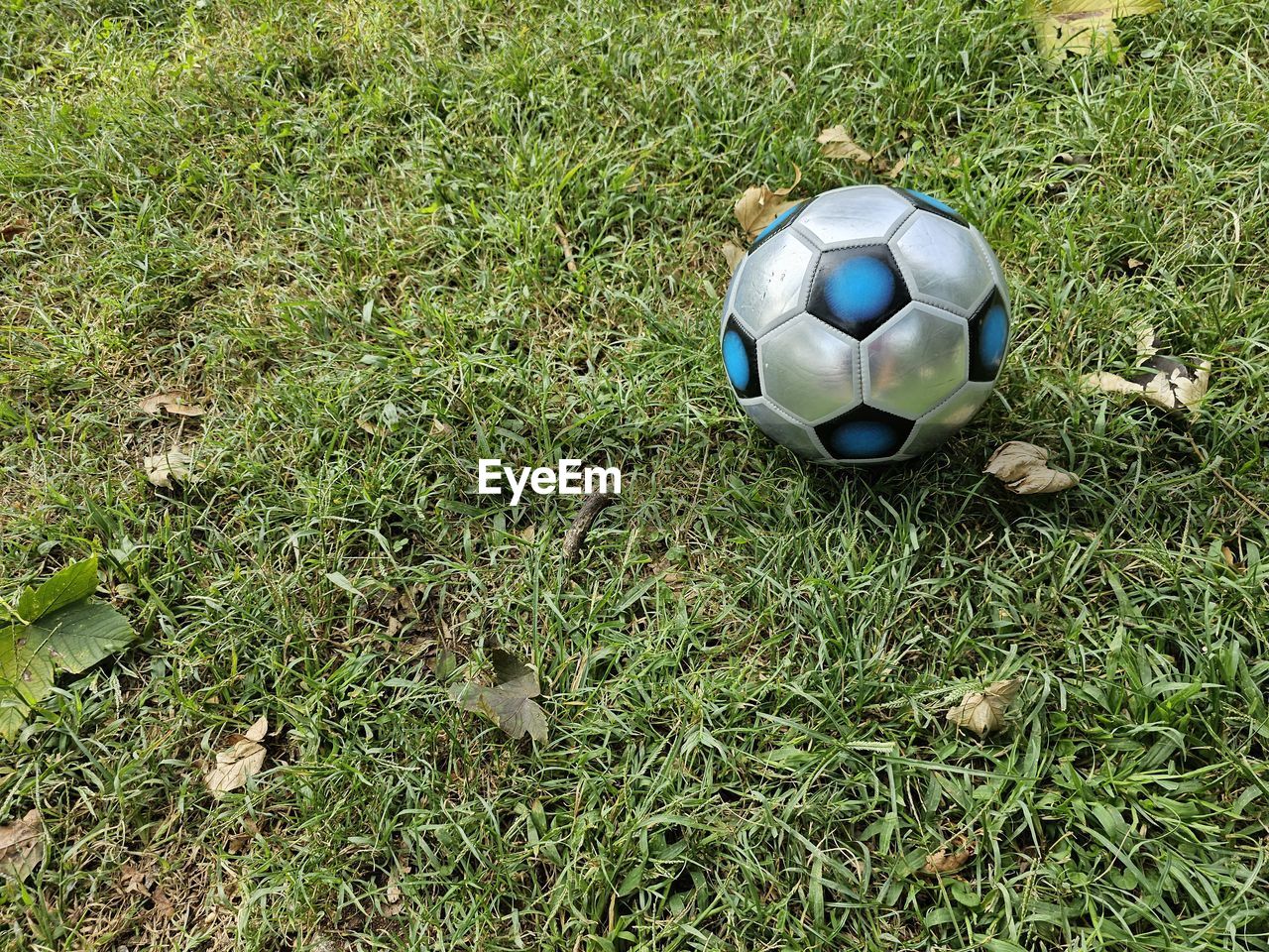 grass, soccer, soccer ball, team sport, sports equipment, sports, ball, plant, soccer field, green, high angle view, nature, field, lawn, land, soccer player, day, athlete, outdoors, playing field, soccer uniform, player, football