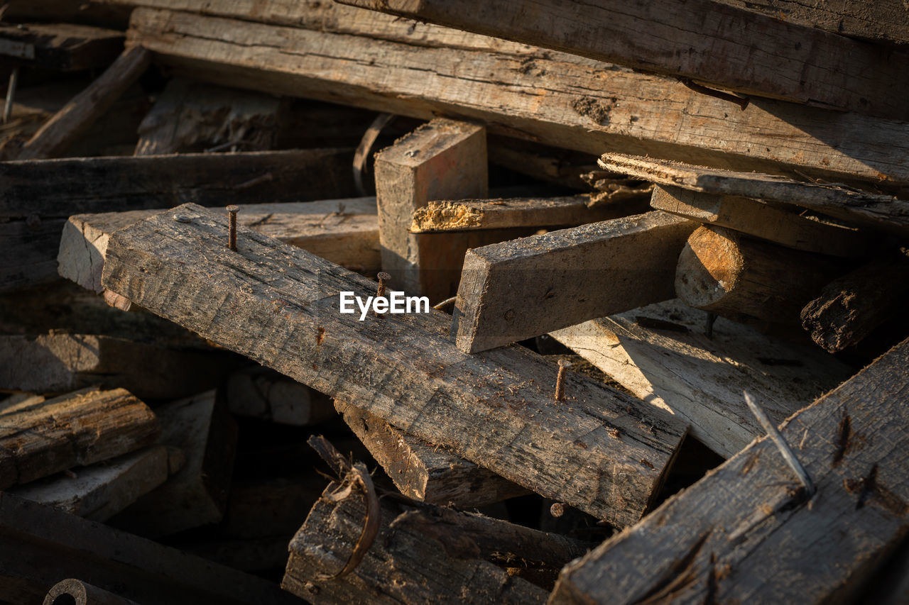 HIGH ANGLE VIEW OF FIREWOOD IN FOREST