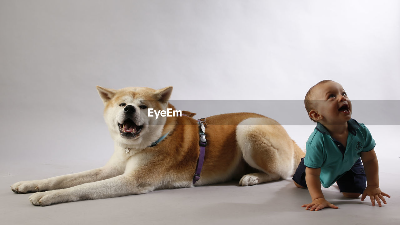 FULL LENGTH OF A DOG