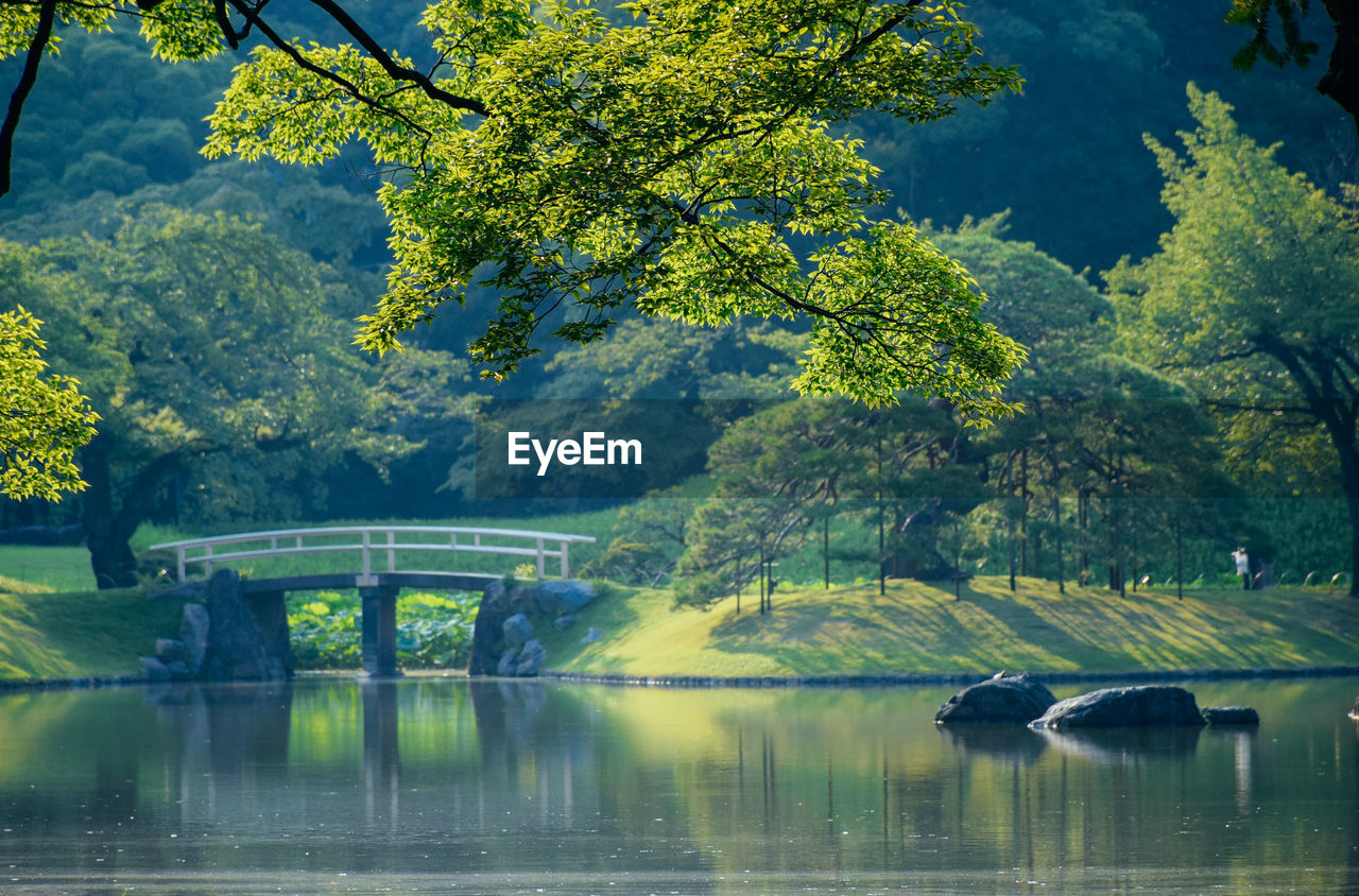 Footbridge over lake against trees