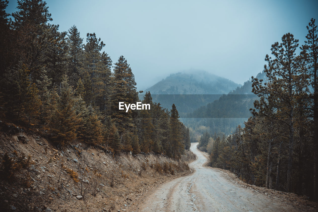 Empty road amidst trees in forest against clear sky