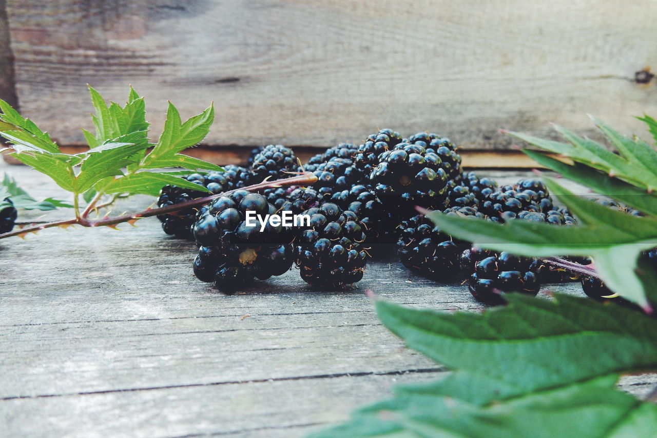 Close-up of blackberries on wood