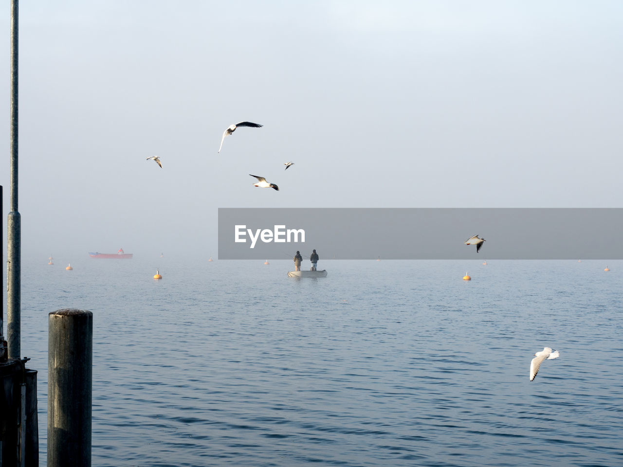 People on boat with birds flying over lake against sky during foggy weather