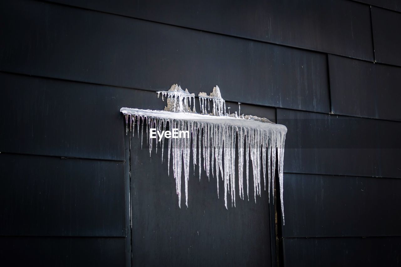 Icicles on house door