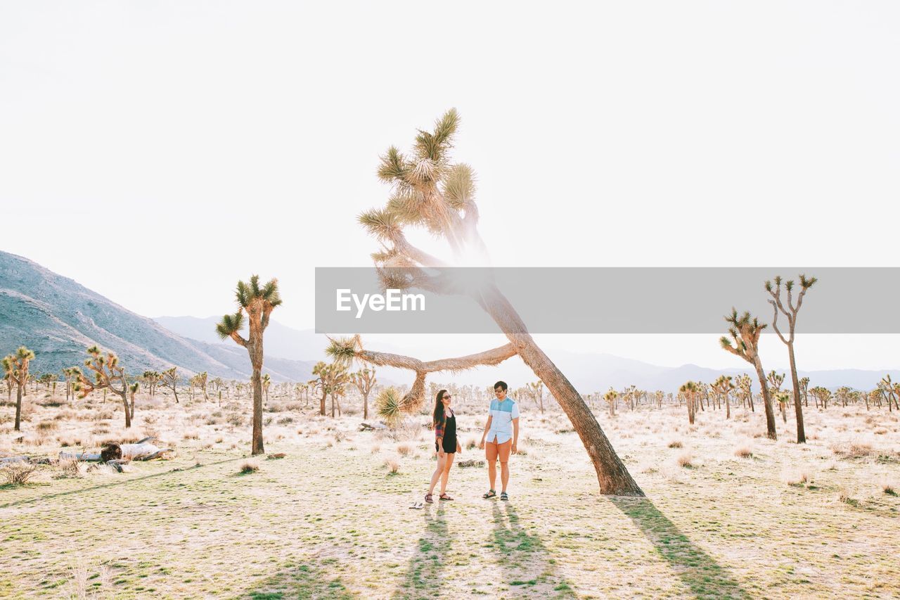 Man and woman standing by joshua tree on sunny day