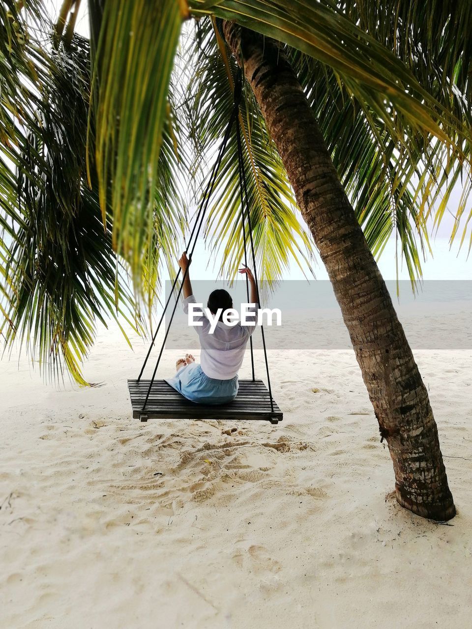 REAR VIEW OF MAN SITTING ON PALM TREE