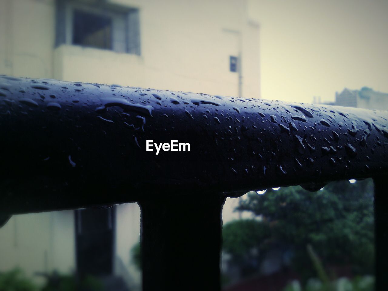 Close-up of wet railing at balcony against building