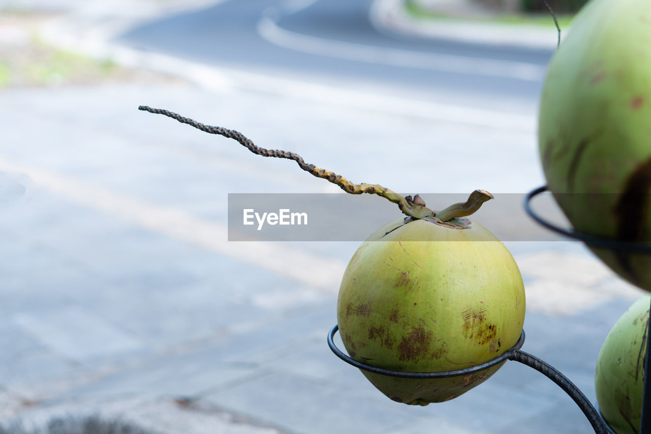 close-up of apples on table