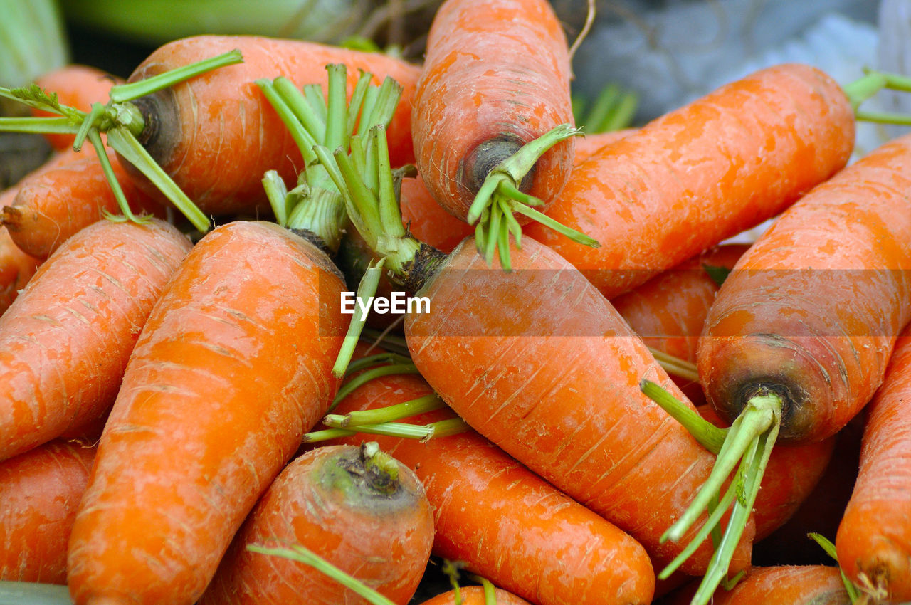 Bio organic carrots in the market. healthy vegetables