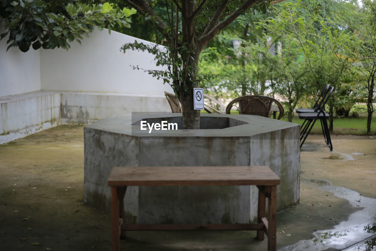 tree, plant, seat, table, nature, no people, chair, architecture, backyard, day, furniture, wood, water, outdoors, absence, bench, estate, empty, front or back yard