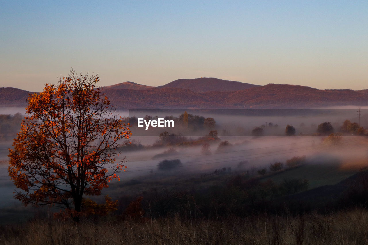 Scenic view of landscape against sky during sunrise