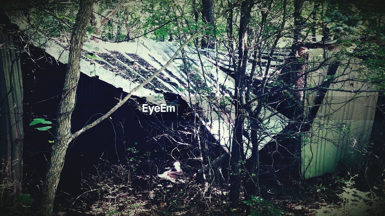Damaged building in forest