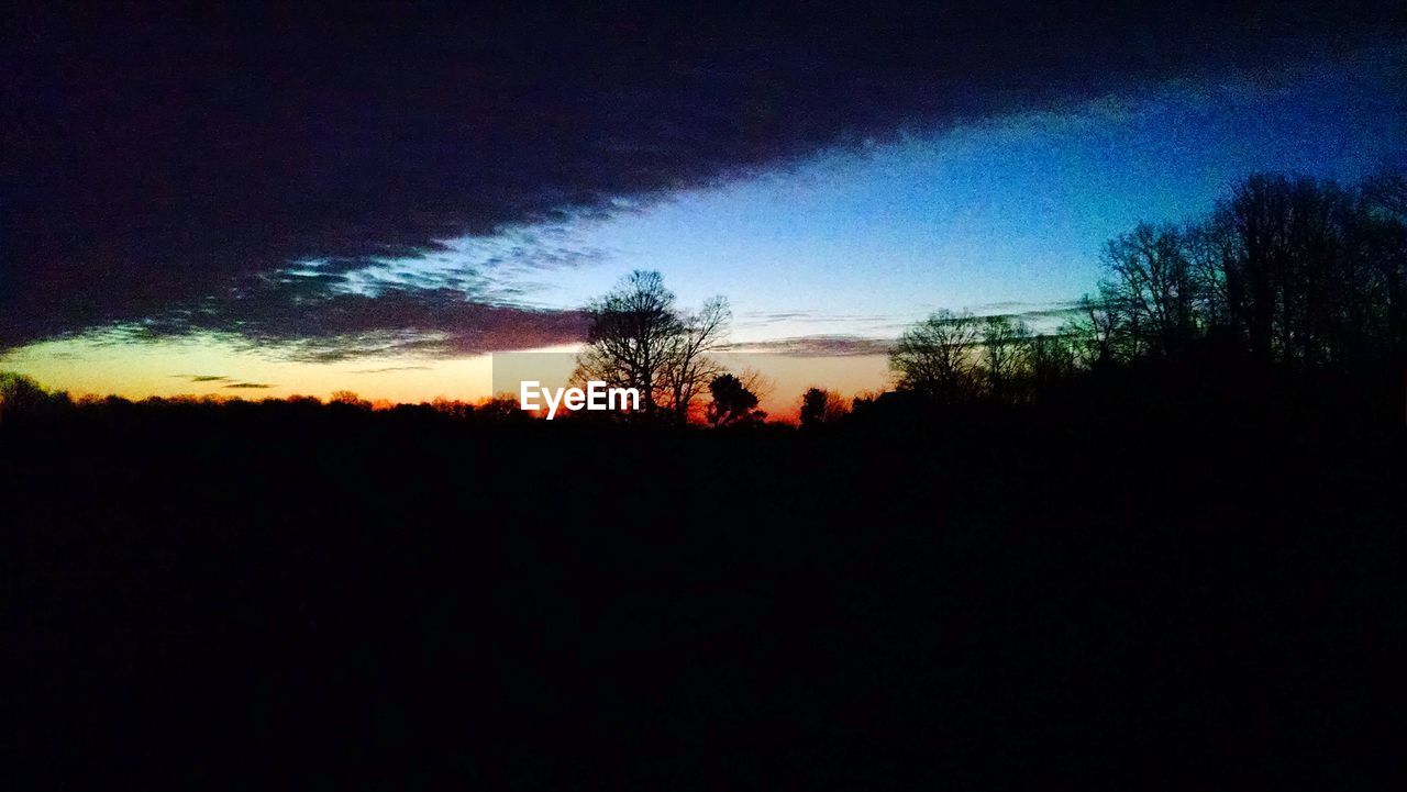 Silhouette of trees at sunset