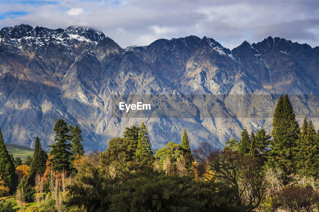 Scenic view of pine trees and mountains against sky