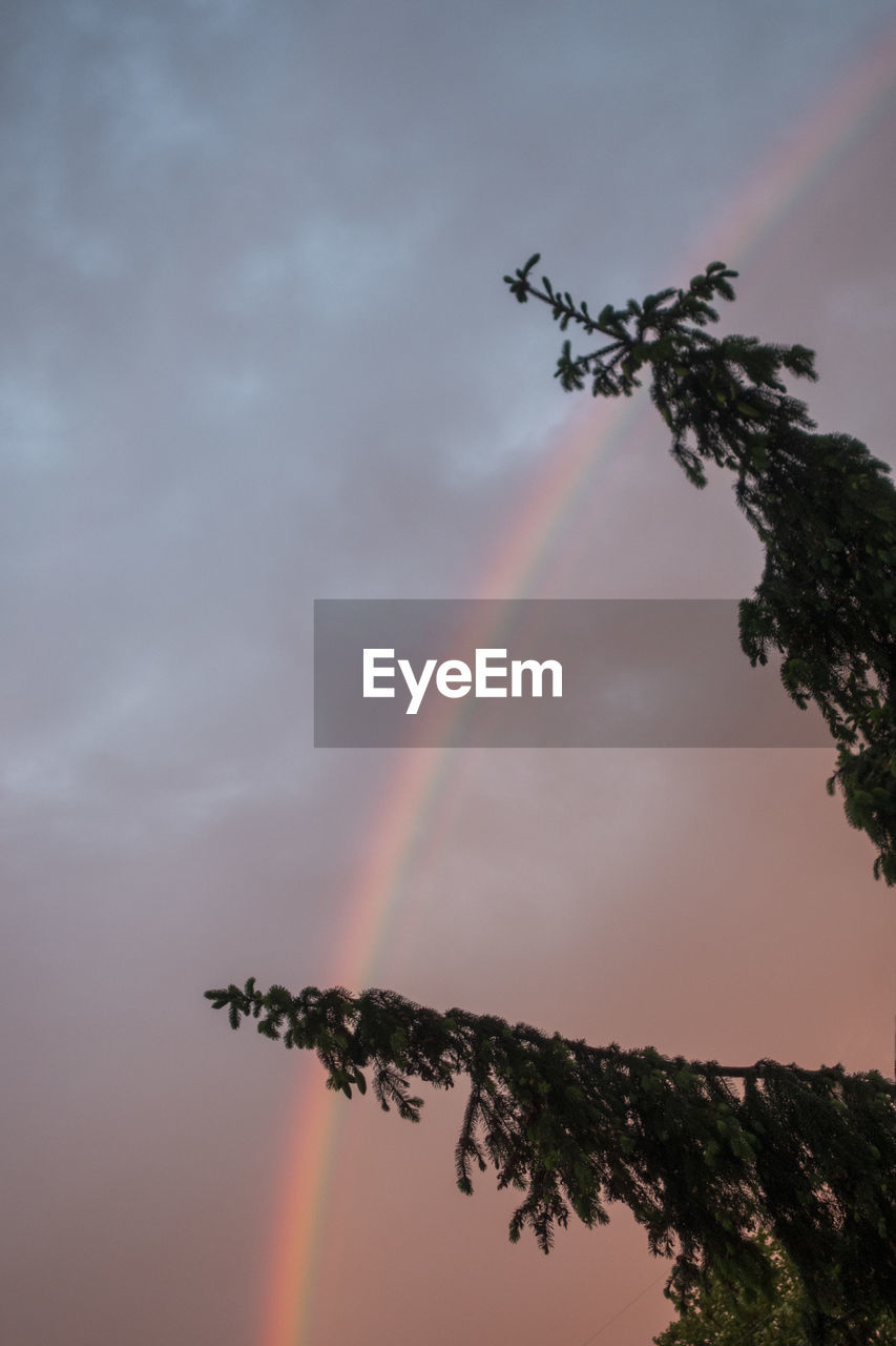 LOW ANGLE VIEW OF RAINBOW AGAINST SKY DURING SUNSET