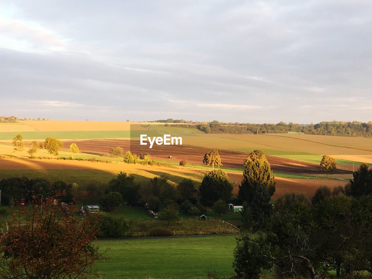 AGRICULTURAL FIELD AGAINST SKY