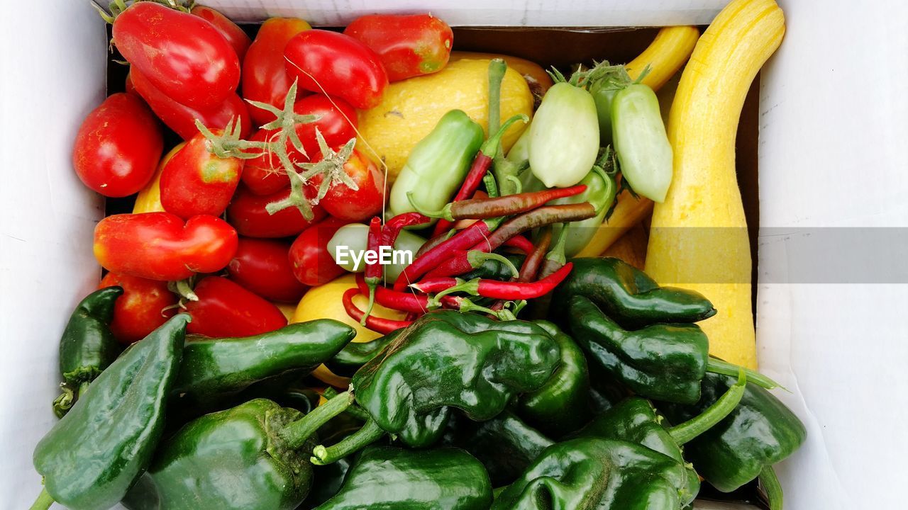 HIGH ANGLE VIEW OF VEGETABLES IN CONTAINER