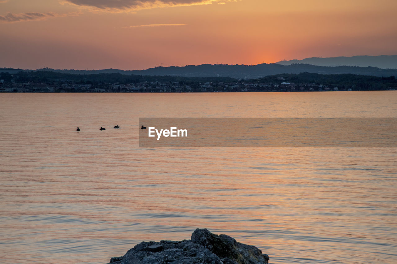 water, sky, sunset, horizon, beauty in nature, scenics - nature, sea, animal, nature, reflection, animal themes, dawn, shore, mountain, animal wildlife, cloud, wildlife, ocean, tranquility, environment, evening, bird, landscape, tranquil scene, body of water, no people, land, travel destinations, rock, coast, bay, outdoors, group of animals, wave, travel, mammal, sun, beach, mountain range, dramatic sky, idyllic, orange color, non-urban scene