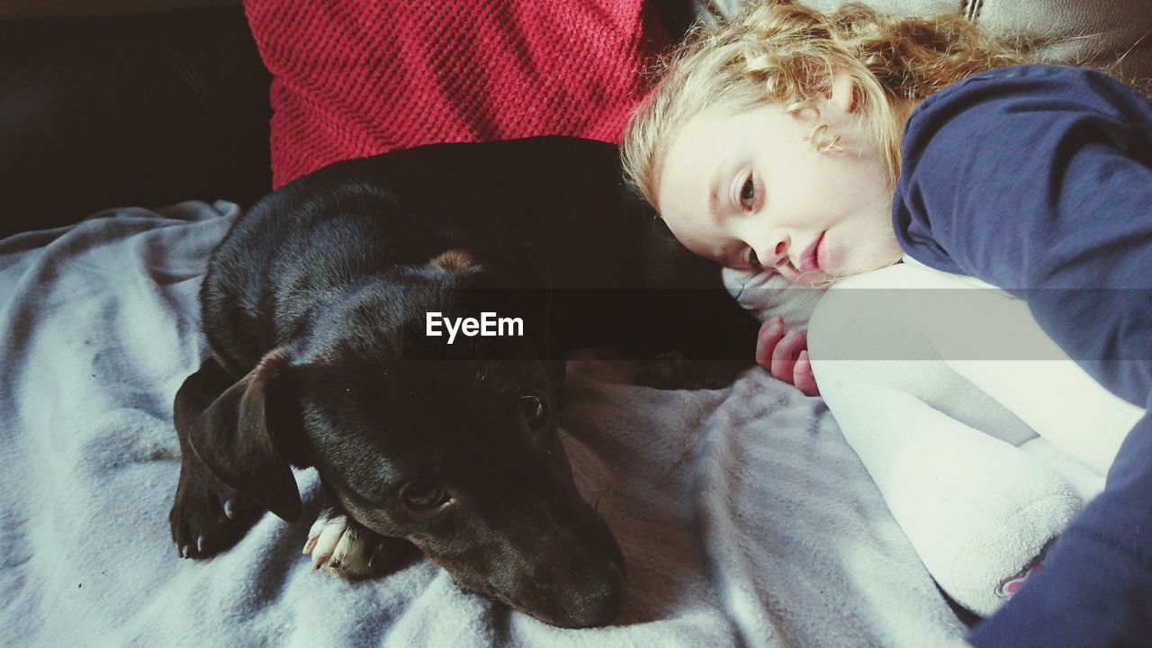 High angle view of girl resting with dog on bed