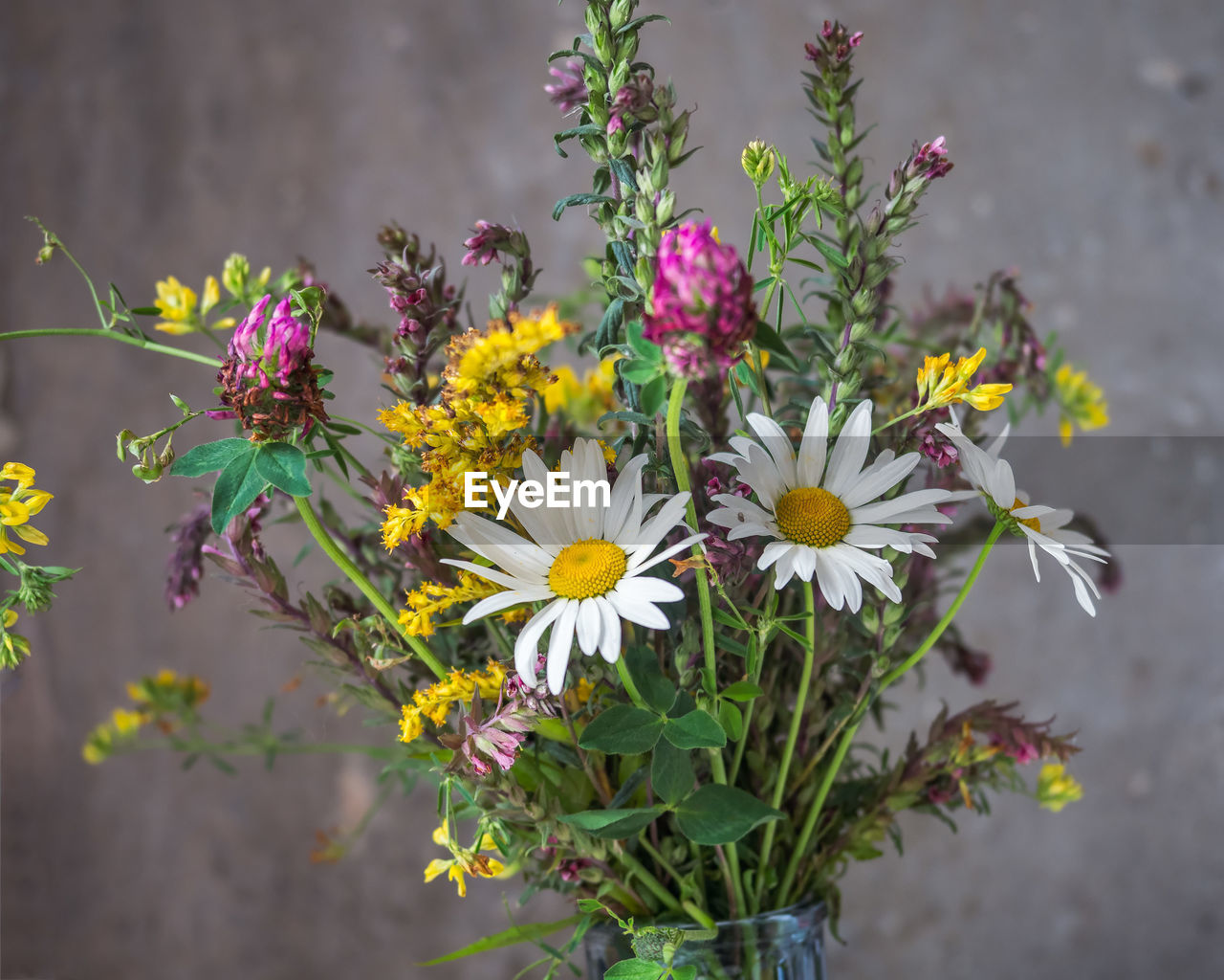 Bouquet of multicolored wildflowers, chamomile, clover and other wild flowers 