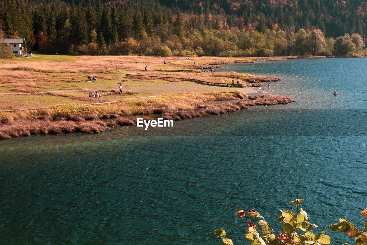 High angle view of lake and trees in forest