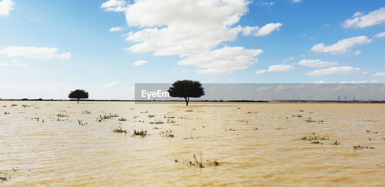 Scenic view of land against sky