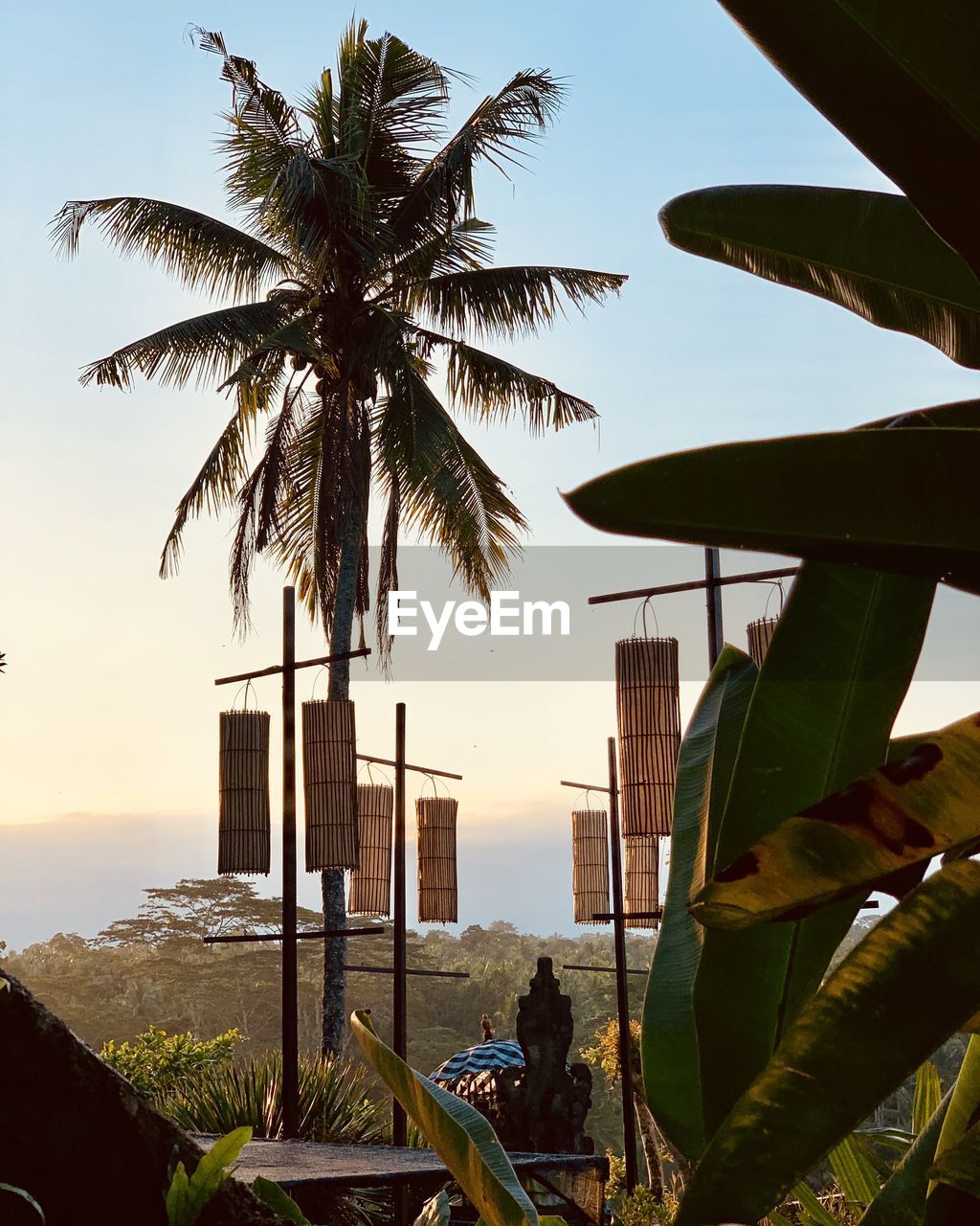 Jungle view with interesting lanterns from bali, indonesia