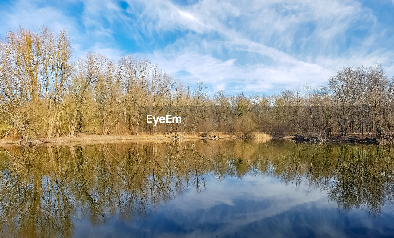 Scenic view of lake by trees against sky