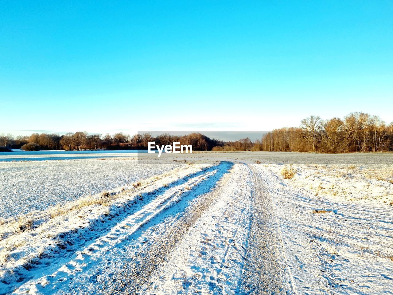 snow, winter, cold temperature, sky, landscape, environment, blue, nature, scenics - nature, tree, plant, tranquil scene, no people, clear sky, tranquility, land, frozen, beauty in nature, non-urban scene, day, white, rural scene, road, field, copy space, frost, transportation, outdoors, the way forward, tire track, remote, sunlight, ice