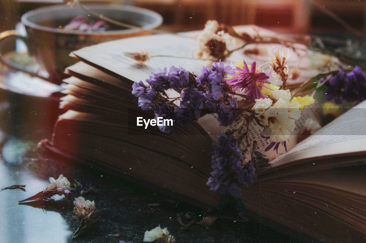 High angle view of purple flowering plants on table and book