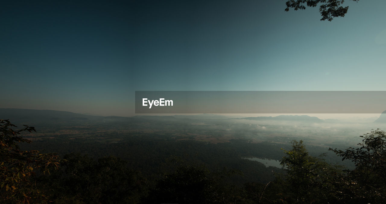 Scenic view of forest against clear sky