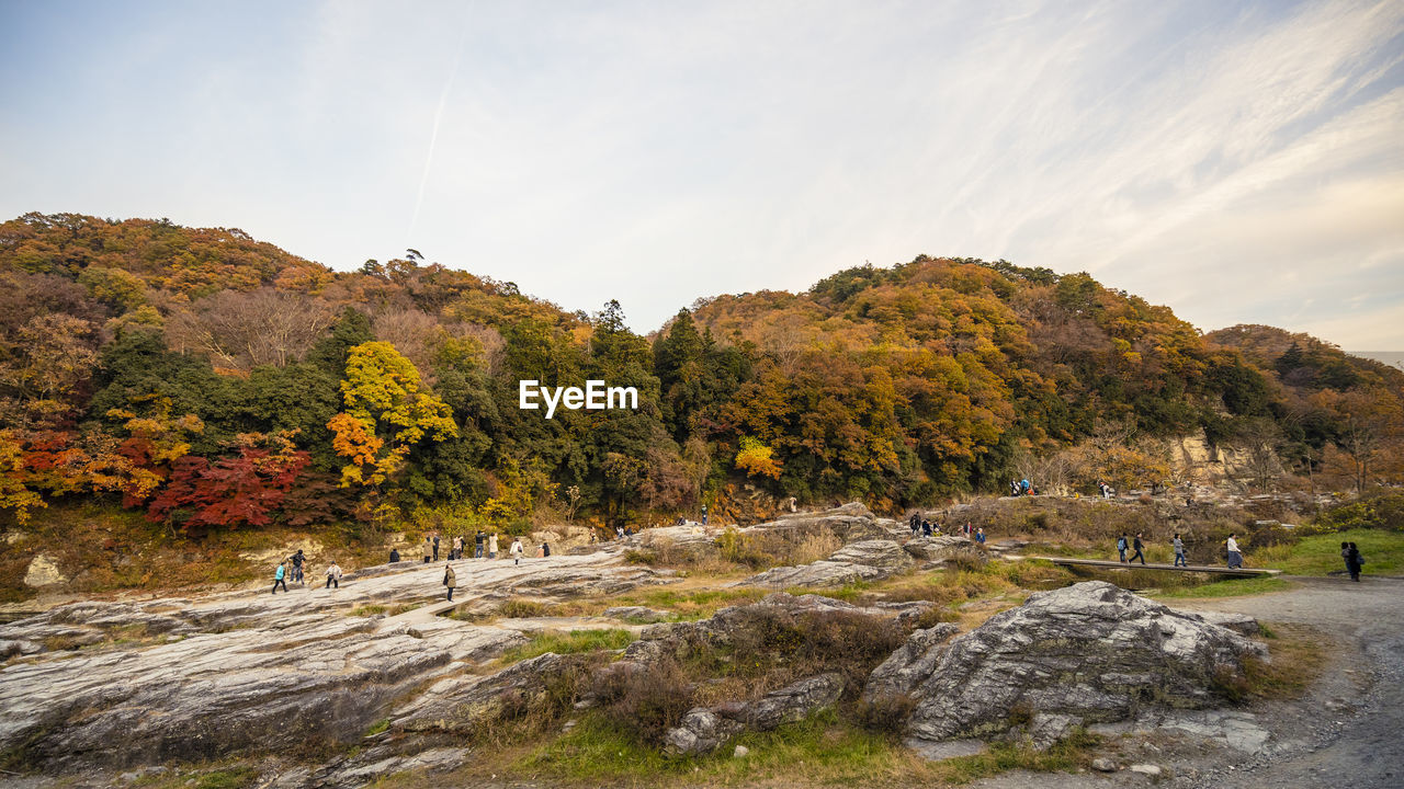 Rocks by trees against sky during autumn