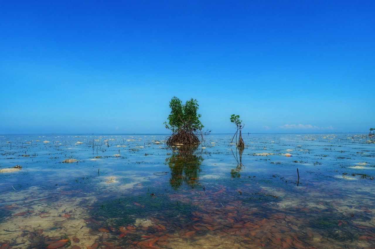 IDYLLIC VIEW OF SEA AGAINST CLEAR BLUE SKY